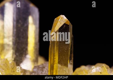 Gelbe Fishtail Gips Crystal Cluster. Makro Bild der geologischen Proben. UK. Stockfoto