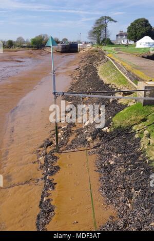 Grüne Markierung Pol auf einen Schlammigen Kanal Verbinden der Exe Estuary aus dem Exeter Ship Canal auf Rasen zu sperren. Devon, UK. April, 2018. Stockfoto