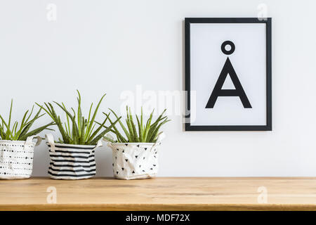 Nahaufnahme der Aloe in diy, gemusterten Stoff Pflanzmaschinen auf einem Regal und einem minimalistischen schreiben Plakat in einem schwarzen Rahmen auf einer weißen Wand Stockfoto