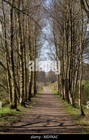 Stillgelegte Bahnstrecke an Featherstone, Northumberland Stockfoto