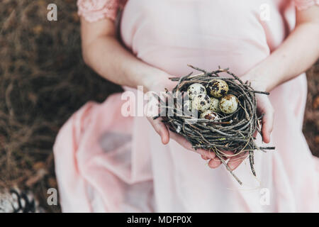 Woman's Hände halten ein Nest mit Wachteleier Stockfoto