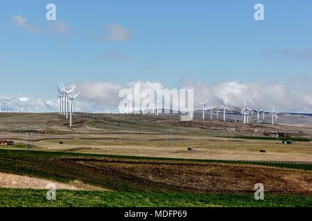 Windy Point / windig Wohnungen Projekt mit Windmühlen Windkraftanlagen außerhalb von Goldendale, Washington am Columbia River im pazifischen Nordwesten Stockfoto