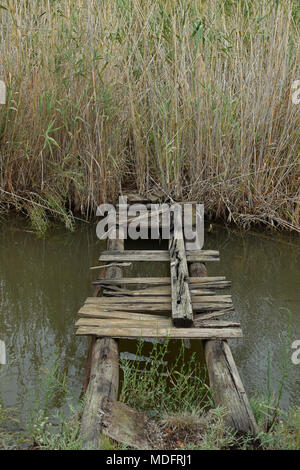 Behelfsmäßige klapprige Holzbrücke über kleine Bucht führenden Pfad zu undurchdringlichen Sumpf mit Vegetation überwuchert. Stockfoto