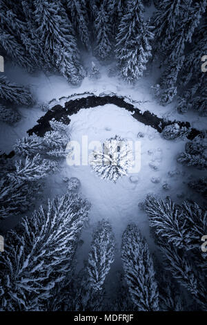 Luftaufnahme eines Flusses durch einen Winterwald, Zauchensee, Salzburg, Österreich Stockfoto