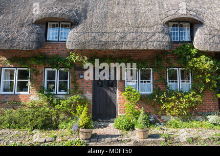 Charmantes Reetdachhaus im Hampshire Dorf Selborne, gnädig Street, UK Stockfoto