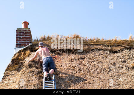 Master Thatcher Thatching Cottage Dach Stockfoto