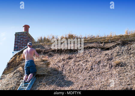 Master Thatcher Thatching Cottage Dach Stockfoto