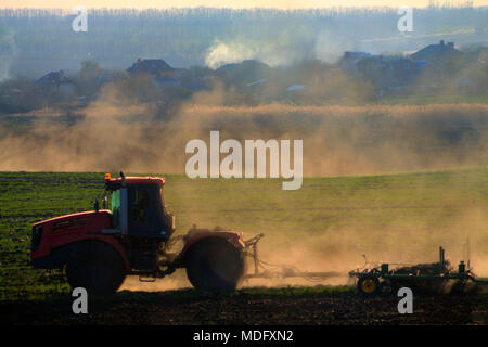 Bauer auf einem leistungsfähigen Traktor pflegt das Feld im Frühling vor dem Einpflanzen von Weizen Stockfoto