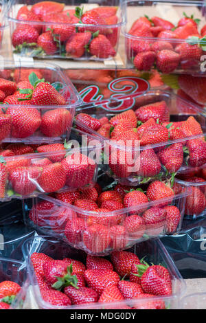 Körbchen von frisch gepflückte Erdbeeren zum Verkauf an Borough Market Stall in London verkaufen frisches Obst und Gemüse zu einem Obst- und Gemüsehändler. Stockfoto