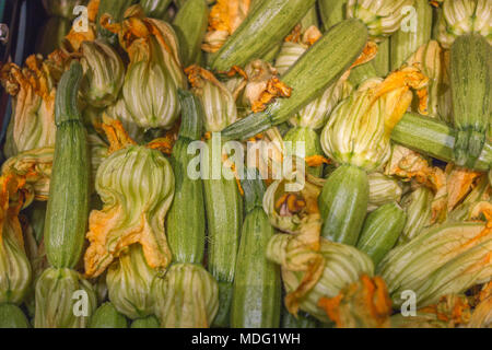 Nahaufnahme von frischen Zucchini oder Zucchini mit Blumen. Spanien Stockfoto