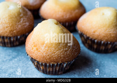 Lemon Muffins mit Puderzucker. Dessert Konzept. Stockfoto