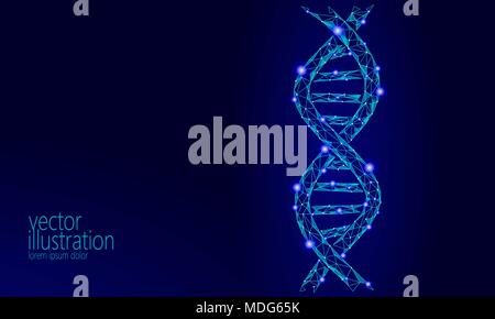 DNA 3D-chemische Molekül Struktur poly niedrig. Polygonale Dreieck Point Line gesunde Zelle teil. Mikroskopische Wissenschaft blau Medizin Genom engineering Vektor-illustration Future Business Technologie Stock Vektor