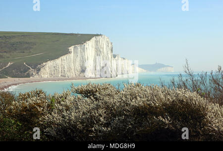 Seaford, East Sussex, England. 19. April 2018. Fabelhafte Frühlingssonne in Seaford Head mit Blick auf die sieben Schwestern, East Sussex. Stockfoto