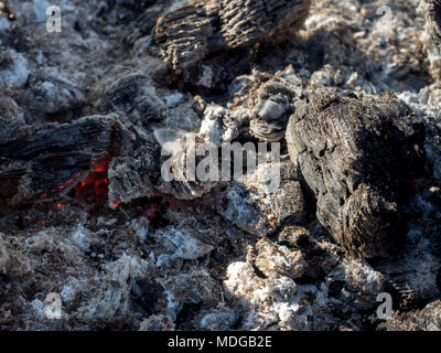 Glühende Kohlen aus dem Feuer im Grill, Hintergrund. Stockfoto