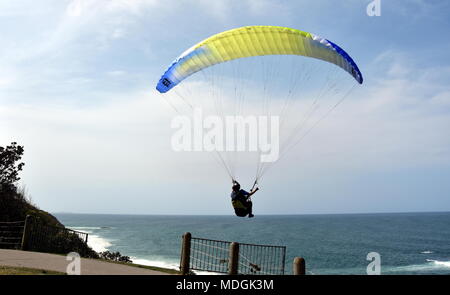 Port Macquarie, Australien - Oct 1, 2017. Gleitschirm über das Meer mit blauem Wasser und Berge im sonnigen Tag fliegen. Luftaufnahme von Gleitschirm i Stockfoto