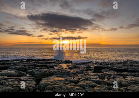 Sonnenaufgang am Craster, Northumberland April 2018 Stockfoto