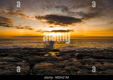 Sonnenaufgang am Craster, Northumberland April 2018 Stockfoto