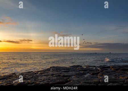 Sonnenaufgang am Craster, Northumberland April 2018 Stockfoto