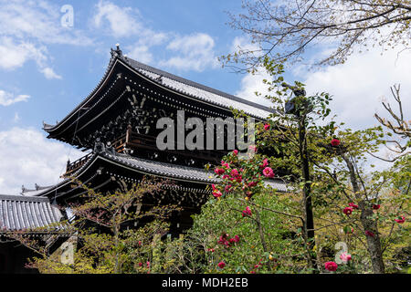 Schöne blühende Bäume in der Nähe der Einfahrt zum Chion-in Tempel in Kyoto, Japan Stockfoto