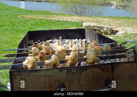 Marinierte champignons Vorbereitung auf einem Grill über Kohle. Champignons oder Shish Kebab populär in Osteuropa. (Shashlyk aufgespießt Fleisch) war Stockfoto