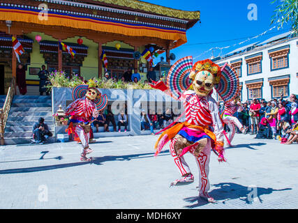 Buddhistische Mönche, die Cham Tanz während des Ladakh Festivals in Leh, Indien Stockfoto