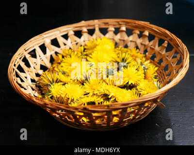 Geerntet dandolion Blumen im Korb Stockfoto