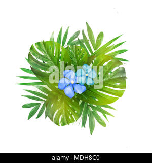 Kreative Gestaltung von Laub auf einem weißen Hintergrund. Die Einrichtung der Blätter und Blüten. Floral background. Blick von oben. Stockfoto