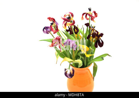 Tote Tulpen in Orange Vase Stockfoto