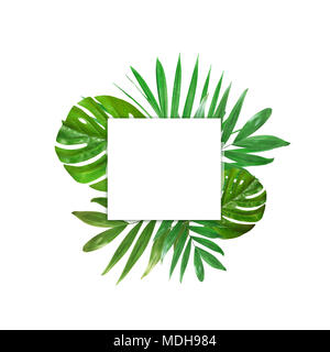 Kreative Gestaltung von Laub auf weißem Hintergrund mit Platz für Text. Rahmen aus Palmblättern. Floral background. Ansicht von oben. Stockfoto
