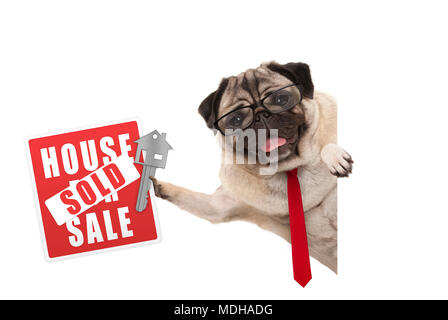 Lächelnd business Mops Hund mit Brille und Binden, halten roten Haus verkauft unterzeichnen und Schlüssel, auf weißem Hintergrund Stockfoto
