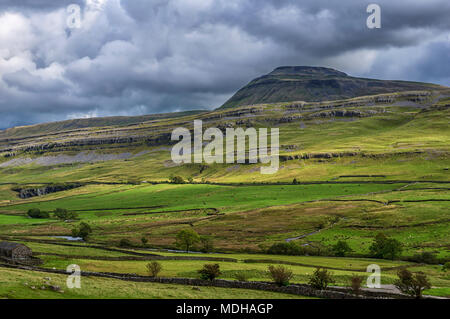 Ingleborough ist der zweithöchste Berg in den Yorkshire Dales. Es ist einer der Yorkshire Three Peaks, die anderen beiden sind Whernside und Pen-y... Stockfoto