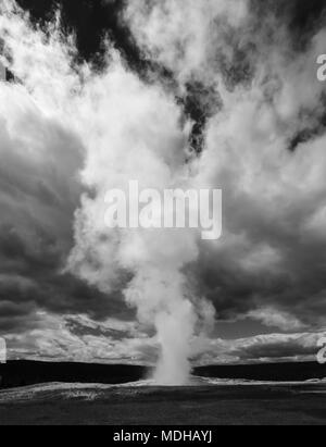 Old Faithful Geysir im Yellowstone National Park, Wyoming, Vereinigte Staaten von Amerika Stockfoto