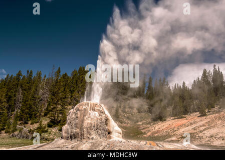 Lone Star Geysir ist ein Kegel Geysir im Lone Star Geyser Basin des Yellowstone National Park, Wyoming, Vereinigte Staaten von Amerika Stockfoto