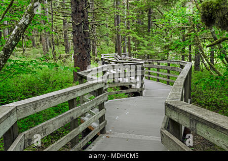 Holzsteg auf Wald Loop Trail durch eine Fichte Hemlock Wald in Bartlett Cove, Glacier Bay National Park Stockfoto