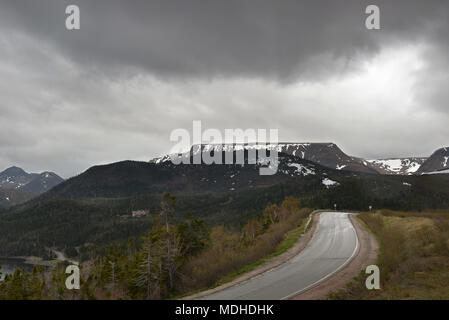 Auf der Straße der Gros Morne National Park Stockfoto