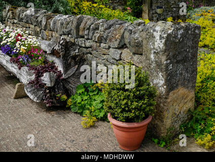 Mauer aus Stein und Blumen in einem Ausgeklammerten log Pflanzmaschine; Kirkharle, Northumberland, England Stockfoto