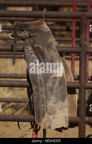 Cowboys fahren Vieh auf der West Texas Ranch am Ende einer Runde-up-Tag Stockfoto