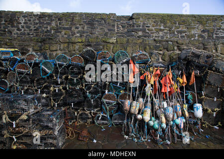 Clovelly ist ein kleines Dorf in der torridge Bezirk von Devon, England. Stockfoto