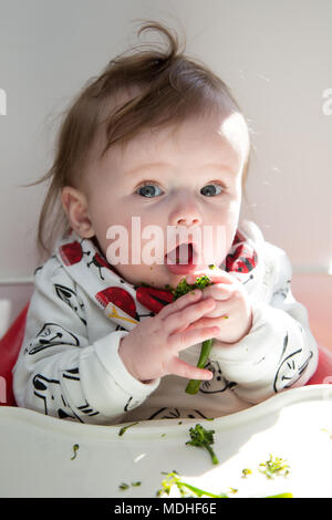 Baby geführt Entwöhnung Stockfoto