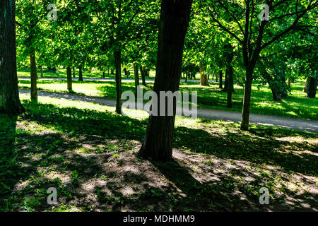 Wunderschöne Aussicht auf Peterhof-park in St. Petrsburg Stockfoto