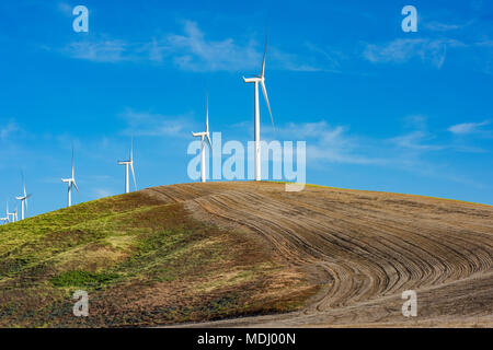 Windpark Windenergieanlagen auf ein Landwirt gepflügten Feldes Kombination grüne Energie mit Landwirtschaft, Eastern Washington Stockfoto