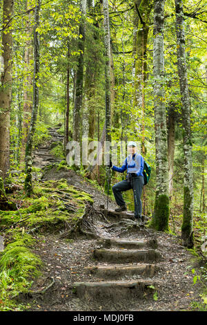 Weibliche Wanderer klettern eine Reihe von angemeldet Holzstufen auf einem steilen Waldweg; Grainau, Bayern, Deutschland Stockfoto