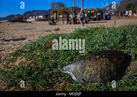 Seri ist der Name einer ethnischen Gruppe, die das Leben im mexikanischen Bundesstaat Sonora. Das Wort für diese Stadt ist von unbekannter Herkunft, aber seine Mitglieder thems Stockfoto