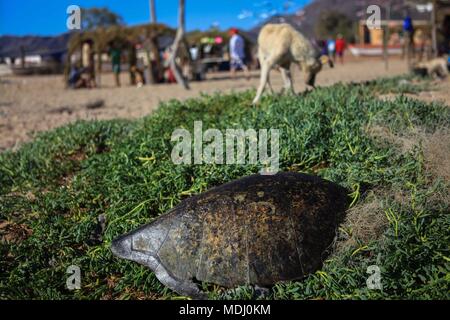 Seri ist der Name einer ethnischen Gruppe, die das Leben im mexikanischen Bundesstaat Sonora. Das Wort für diese Stadt ist von unbekannter Herkunft, aber seine Mitglieder thems Stockfoto