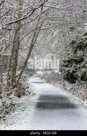 Schnee fällt auf Netul River Trail, Astoria, Oregon, Vereinigte Staaten von Amerika Stockfoto