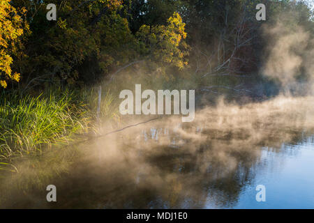 Nebel steigt aus dem Wasser eines Sees in Sequoyah National Wildlife Refuge; Vian, Oklahoma, Vereinigte Staaten von Amerika Stockfoto