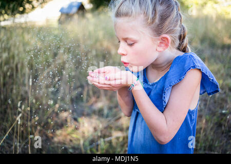 Ein junges Mädchen bläst ein kleines Korn von Ihrer hohlen Hände in die Luft; Salmon Arm, British Columbia, Kanada Stockfoto