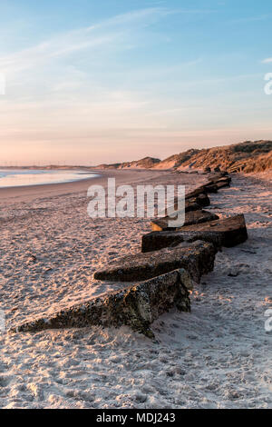 Am frühen Morgen Blick auf Sprachreisen Strand zeigt eine Zeile des zweiten Weltkriegs konkrete Verteidigung im Sand begraben; schlendern Sie durch das Meer, Northumberland, England Stockfoto