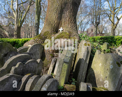 Die Hardy Baum, St Pancras Old Church, Kings Cross Stockfoto