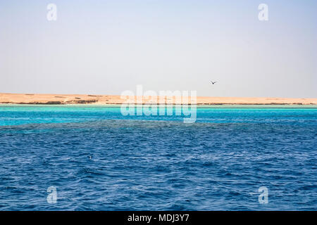 Urlaub am Roten Meer, Mahmya Stockfoto